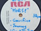 HORSE - 1-SIDED ACETATE TEST PRESS, UK, 1970 RCA, HEAVY PSYCH