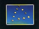 Sugar Loaf Express featuring Lee Ritenour
