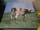 PINK FLOYD ATOM HEART MOTHER VINYL LP