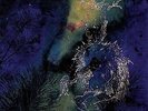 Bardo Pond - Under The Pines [New Vinyl LP] Digital Download