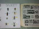 Syd Barrett - Barrett LP 1970 (Harvest)