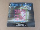 TEMPLE OF THE DOG Hunger Strike 12