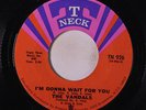 VANDALS: I'm Gonna Wait For You / Part 2 45 (Sweet Soul) Soul
