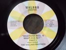 Super Rare Funk 45 -Wallace Brothers -What-Cha Feel Is What-Cha Get -Walbro MINT