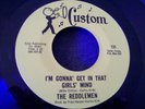 1966 TEXAS GARAGE--REDDLEMEN--I'M GONNA' GET IN THAT GIRLS' MIND--CUSTOM 131