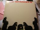 Group LP  The Spaniels   Vee Jay LP 1024  Oval Label  E++