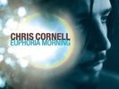 Chris Cornell - Euphoria Mourning LP VINYL NEW