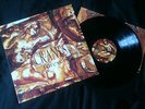 Cranes - Forever  LP UK 1993 EX-/EX-  # Indie