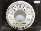 Randy And The Radiants Sun #398 My Way Of Thinking / Truth From My Eyes Promo