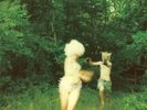 The World Is a Beautiful Place & I Am No Longer Afraid to Die - Harmlessness
