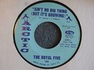 NORTHERN GROUP SOUL 45 The Royal Five Ain't No Big Thing Arctic 160 M- HEAR MP3