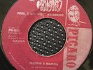 LOS MUSTANGS - Triunfar O Fracasar - EL SALVADOR FUZZ PSYCH GARAGE 45