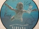Nirvana signed picture disc autograph