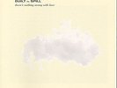 BUILT TO SPILL - THERE'S NOTHING WRONG WITH LOVE NEW VINYL