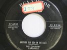 Hear  Bluegrass 45 The Country Pardners - Another Old Dog In The Race / Have Mer