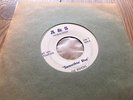 THE BISHOPS flashing eyes  MONSTER GARAGE PSYCH g45 g1000 45