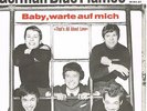 THE GERMAN BLUE FLAMES * Baby, warte auf mich * deutsche Beat Single