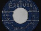 R&B Rocker 45 - George Young - Shakin' Shelley/Buggin' Baby - Fortune rare