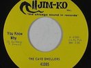 Garage Psych 45 - Cave Dwellers - You Know Why/Run Around - Jim-Ko - VG++ rare