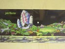 JADE WARRIOR-same-LP reissue of 1970-progressive Rock-foc-Klappcover