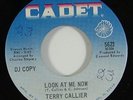 Terry Callier 