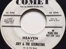 R&B DOO WOP Joey & The Lexingtons HEAVEN / THE GIRL I LOVE Comet 45 rare NM