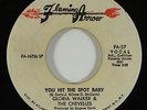 Gloria Walker & the Chevelles 
