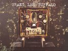 Grant Lee Buffalo - Mighty Joe Moon  ( LP - EX )