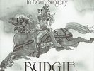 Budgie - Crash Course In Brain Surgery / Nude Disintegrating.. (7