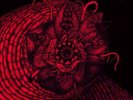 PBK & WOLF EYES - RABID NEW VINYL