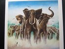 Elvis Costello And The Attractions - Armed Forces LP Mint- MFSL 1-331 180g #3547