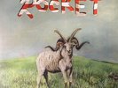 (SANDY) ALEX G - Rocket - Vinyl (LP)