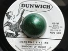 DUNWICH GARAGE PUNK PSYCH - Shadows Of Knight - SOMEONE LIKE ME - NM Promo