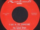LEMON DROPS I Live In The Springtime Garage 45 VG++ Drums & Bass Version FUZZ