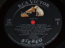 Elvis 