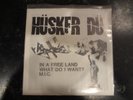 Husker Du - In A Free Land/What Do I Want?/M.I.C. - 45RPM 7