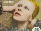 David Bowie Hunky Dory Gold Vinyl
