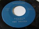 THE DELCOS DETROIT SOUL DOO WOP SHOWCASE LABEL ARABIA B/W THOSE THREE LITTLE