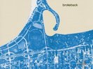 Brokeback Field Recordings From The Cook County Water Table VINYL (19THMAY) NEW