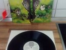 Dr. Strangely Strange  ?– Heavy Petting - Vertigo ?Label - LP - Vinyl