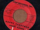 CHIP teen doo wop rock 45  JOHNNY ALADDIN - Happy Together + Why Did You Go