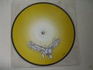 QUEEN FREDDIE MERCURY UNISSUED 7