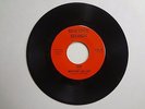 RARE 1969 Dan Penn aka Brother Lee Luv 45 rpm Beautiful Record 1001 