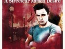 A Streetcar Named Desire - Original Soundtrack Recording (LP Vinyl) NEW/SEALED