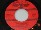 JIMMY SOUL CLARK I'LL BE YOUR WINNER/A GIRL'S WORLD SOULHAWK 003