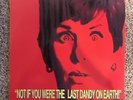Brian Jonestown Massacre 