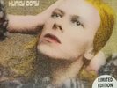 David Bowie - Hunky Dory Gold Vinyl LP album New Sealed
