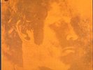 TIM HARDIN Suite For Susan Moore 1969 or. US lp