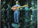 RICHARD THOMPSON MIRROR BLUE RARE LP 1st PRESSING