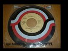PRINCE (DIRETY MIND ) ECUADOR PRESSING  45 RPM 1980 FEDISCOS